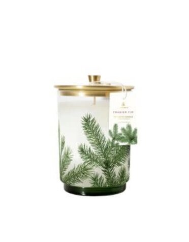 Thymes Heritage Pine Needle Luminary, 11 oz., Medium, Frasier Fir
