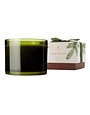 Thymes Green 3-Wick Candle, 17 oz., Frasier Fir