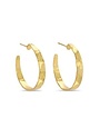Splendid Iris Flat Medium Gilded Hoop Earrings, Gold
