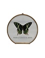 Brass and Glass Circular Photo Frame, 6"Rnd