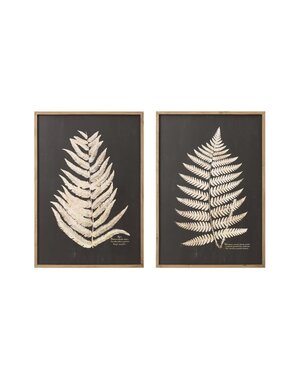 Assorted Framed Wall Decor with Fern Leaf, 28"x 39"