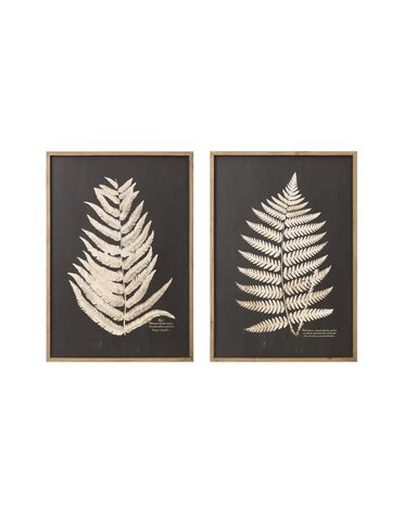 Assorted Framed Wall Decor with Fern Leaf, 28"x 39"