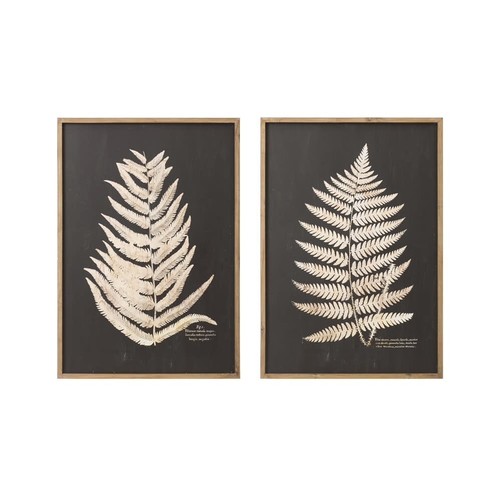 Assorted Framed Wall Decor with Fern Leaf, 28"x 39"