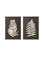 Assorted Framed Wall Decor with Fern Leaf, 28"x 39"