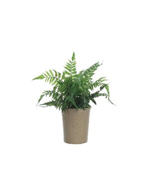 Faux Fern in Paper Pot, 14"