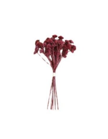 Artificial Mini Flowers, Bundle of Six, Rust