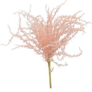 Wispy Pampas Grass Bundle, Pink, 19 in.