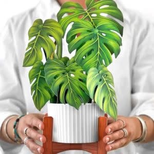 FreshCut Paper Pop-up Greeting Card, Monstera Plant