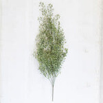 Artificial Charleston Stem, 34 in.