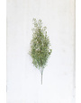 Artificial Charleston Stem, 34 in.