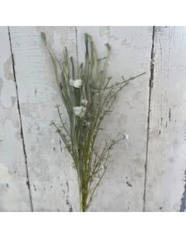 JanMichaels Art & Home Wildflower Spray, 20 in., Sage