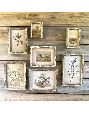 Old Olive Farm Prints - Medium