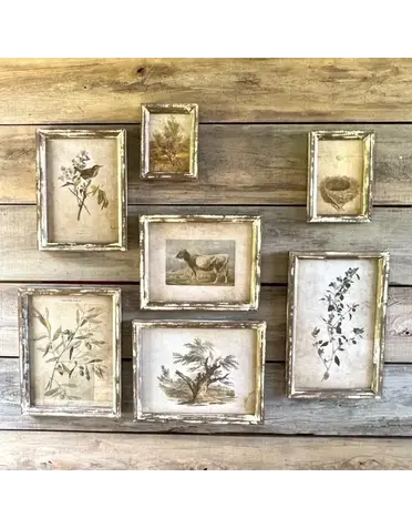 Old Olive Farm Prints - Medium