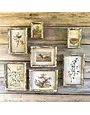 Old Olive Farm Prints - Medium