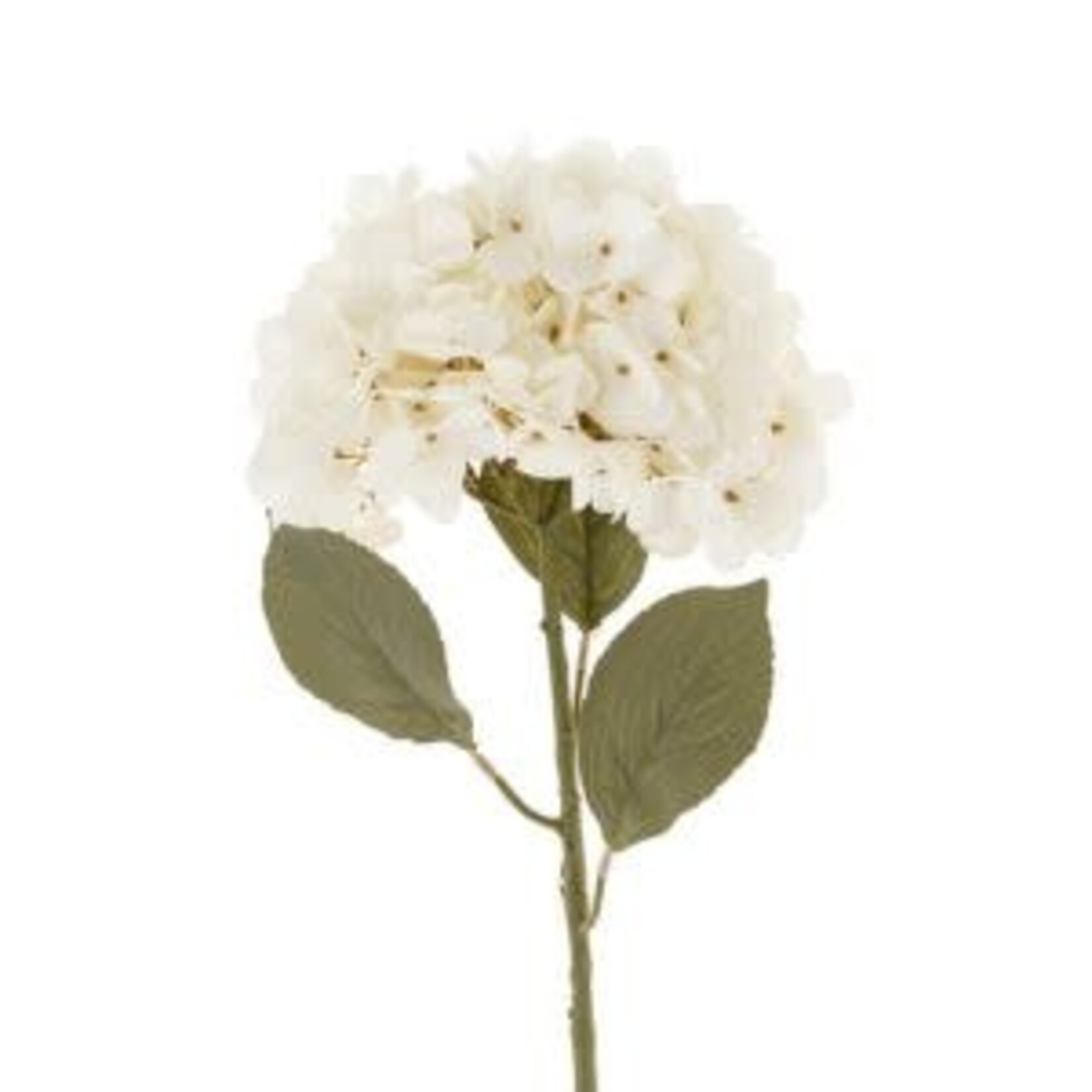 Hydrangea Floral Stem, White, 20 in.