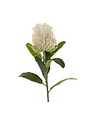Pin Cushion Floral Stem, White, 24 in.
