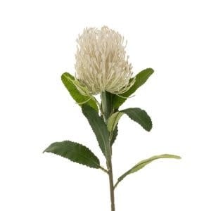 Pin Cushion Floral Stem, White, 24 in.