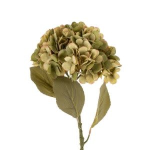 Faded Hydrangea Stem, Large, Green, 24 in.