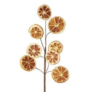 Orange Slice Spray, 18.5 in.