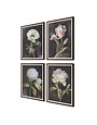 Traditional Botanical Print with Black Frame, Assorted Designs, 20 X 26, Artwork Available for Local Delivery or Pick Up
