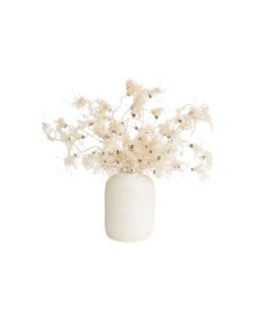 Botanica #2801