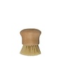 Beech Wood Brush, Natural, 3 in.