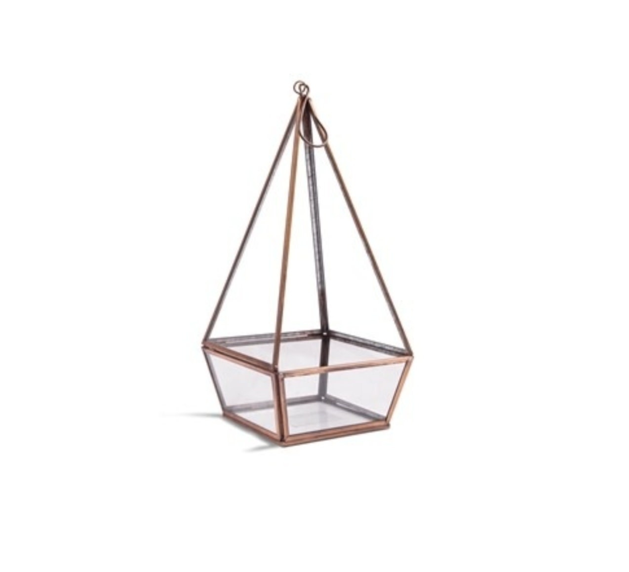 Point Glass Terrarium