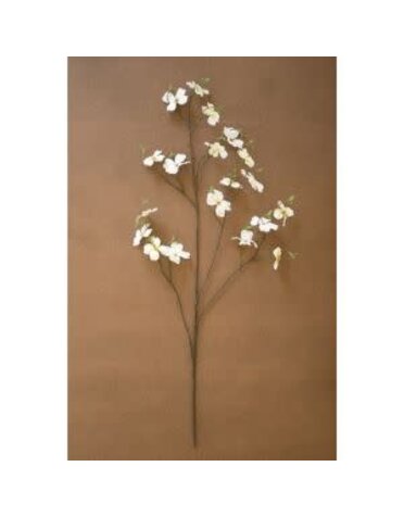 Dogwood Spray, White, 48 in.