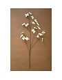 Dogwood Spray, White, 48 in.
