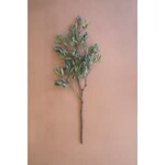 Olive Branch Stem, 32 in.
