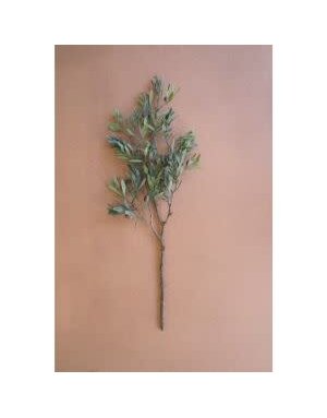 Olive Branch Stem, 32 in.