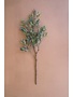 Olive Branch Stem, 32 in.
