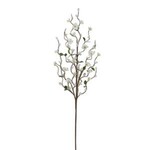 White Floral Pussy Willow Branch, 30 in.