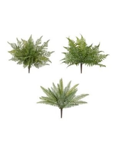 Fern Bush, 16 in., Assorted