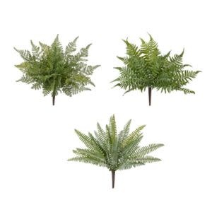 Fern Bush, 16 in., Assorted