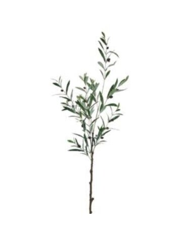 Olive Leaf Branch, 48.5 in.