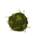 Moss Ball, 10 in.