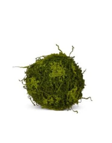 Moss Ball, 10 in.