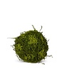 Moss Ball, 10 in.