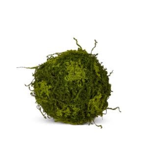 Moss Ball, 10 in.
