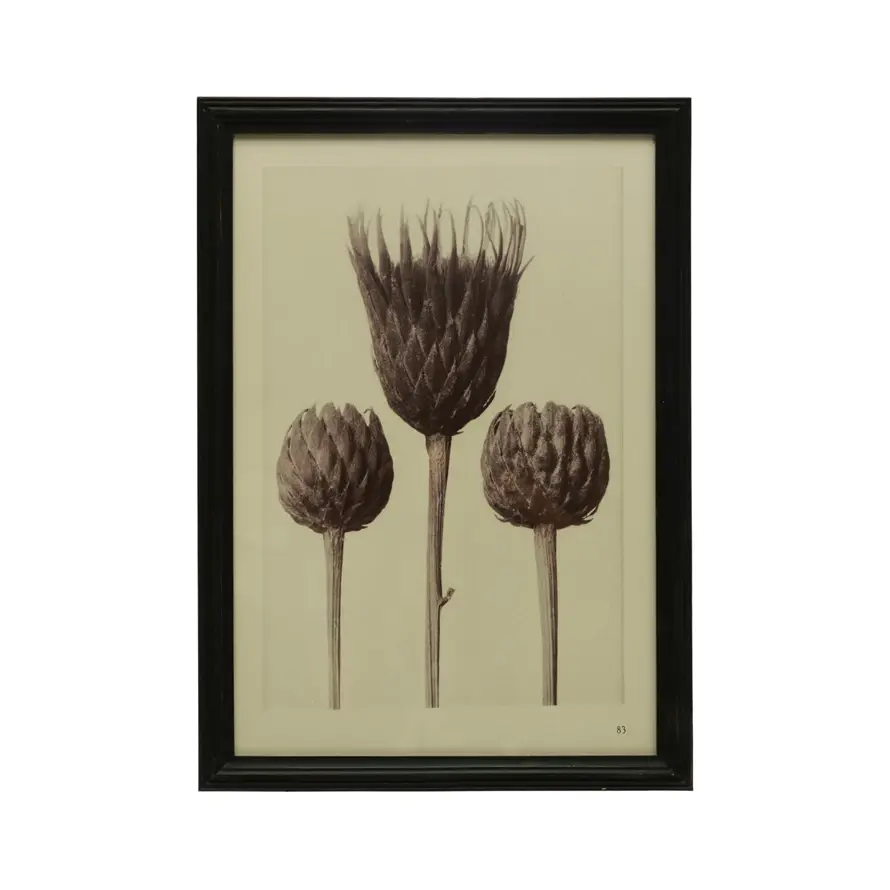 Artichoke Wood Framed Glass Wall Art, Black & Antique White
