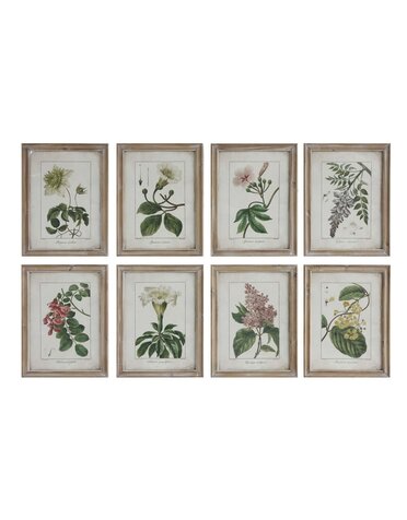 Vintage  Floral Images Wood Framed Decor 14" x 18", priced separately