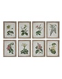 Vintage  Floral Images Wood Framed Decor 14" x 18", priced separately