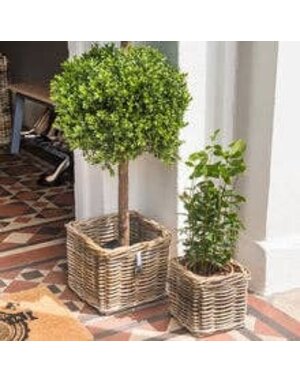 Levisham Planter Large