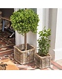 Levisham Planter Large