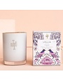 Lollia Imagine Boxed Luminary, 11 oz #