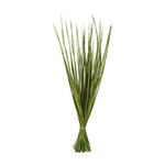 Basil Wild Flax Grass, 28-32 in.