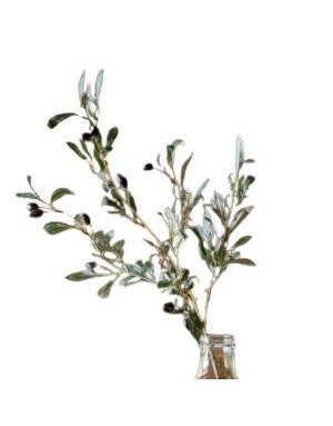 Black Olive Stem, 32 in.