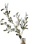 Black Olive Stem, 32 in.