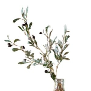 Black Olive Stem, 32 in.